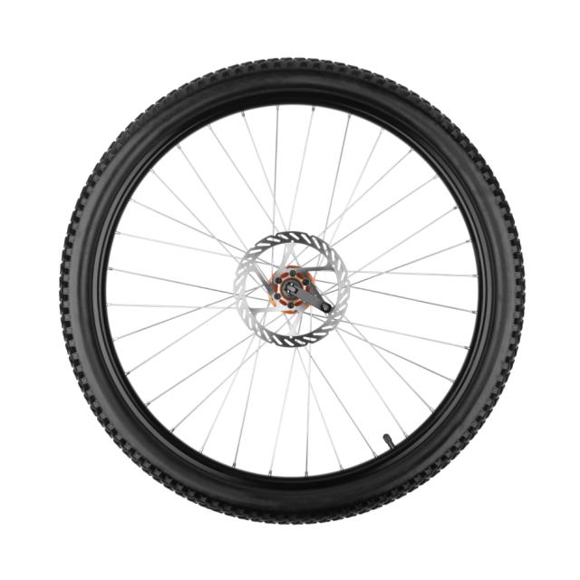 Forté Titan Rear Wheel